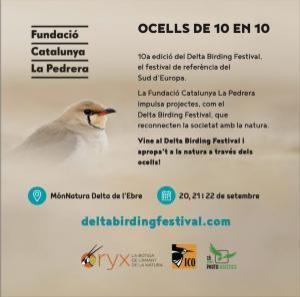 https://deltabirdingfestival.com/?utm_source=escapadanens&utm_medium=cpc&utm_campaign=dbffclpescapada24