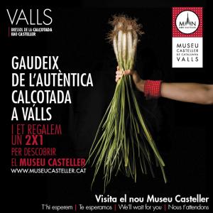 https://museucasteller.cat/el-museu-casteller-de-catalunya-celebrara-la-gran-festa-de-la-calcotada-de-valls/