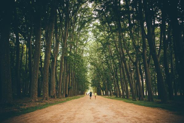 El Parc de la Devesa de Girona en família: Un espai verd per jugar