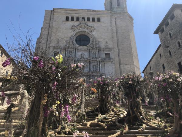 La Catedral de Girona: Història, aventura i llegendes