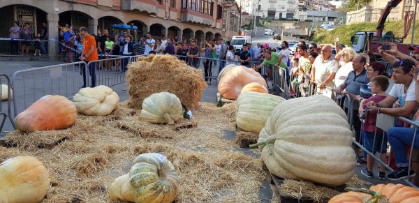 Feria de la Calabaza de Sant Feliu de Codines: Una escapada familiar llena de sorpresas