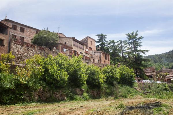 Festa de la Castanyada a Mura: Una tradició familiar