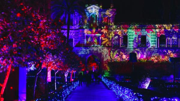 Naturaleza Encendida 2024: El espectáculo de luces para disfrutar la Navidad en familia en Barcelona